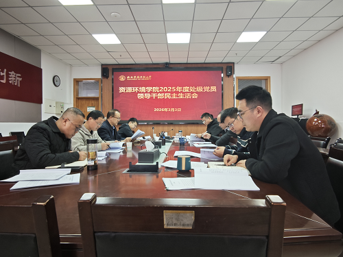 公司党委召开2025年度处级党员领导干部民主生活会