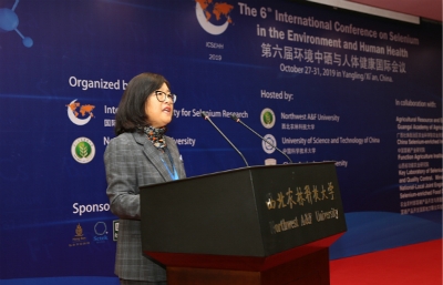 82b64a0e049e4dee888e05eb5d82215a.jpg 20191107111530289473.jpg