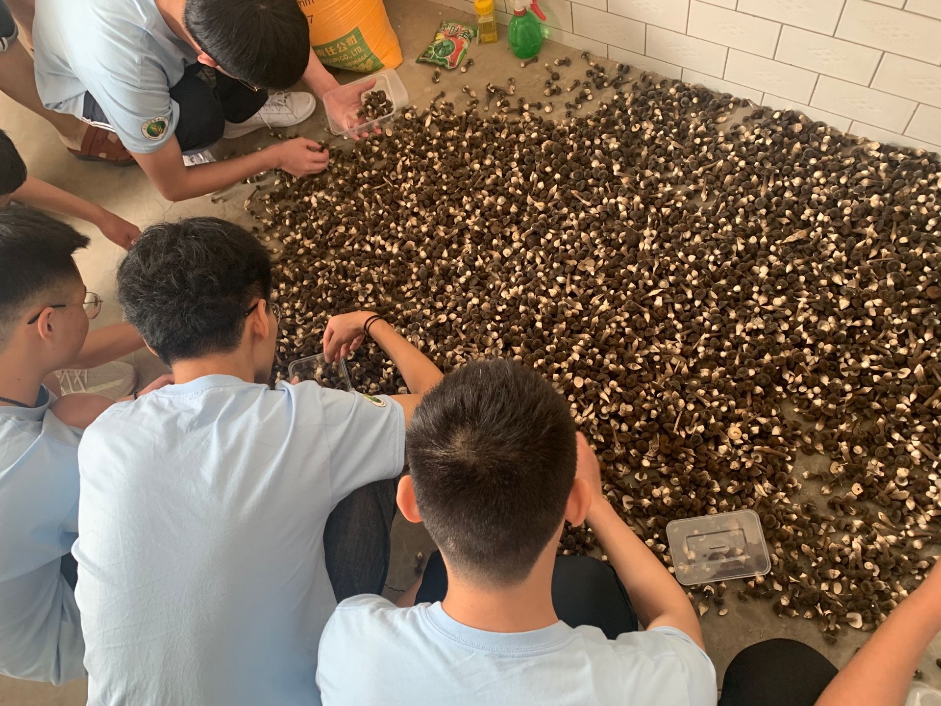 5a181898838542f0b6c4ebd0cc7f5f53.jpg 5a181898838542f0b6c4ebd0cc7f5f53.jpg