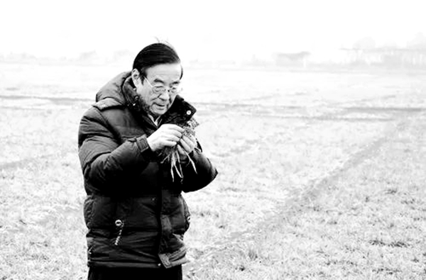 e767832e86cb4988bfb9bbc2218aa8f1.jpg 1.jpg