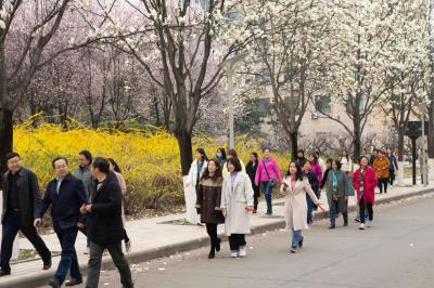 f9e178147cba4fee818ddd4d0524f208.jpg DSC05171.jpg