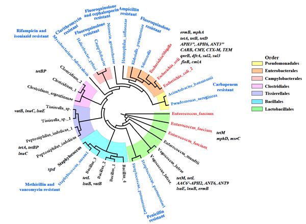 3c9da0c4951043c7bcfde36c84562d34.png 2_副本.png