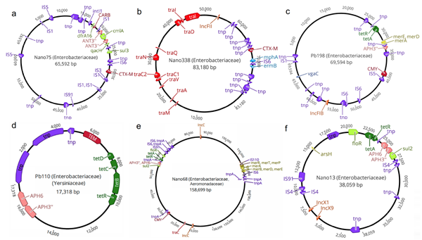 26e03f2405684909b1b602f7977adcb5.png 1_副本.png