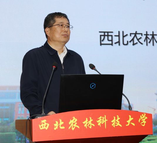 罗军副董事长讲话 .jpg