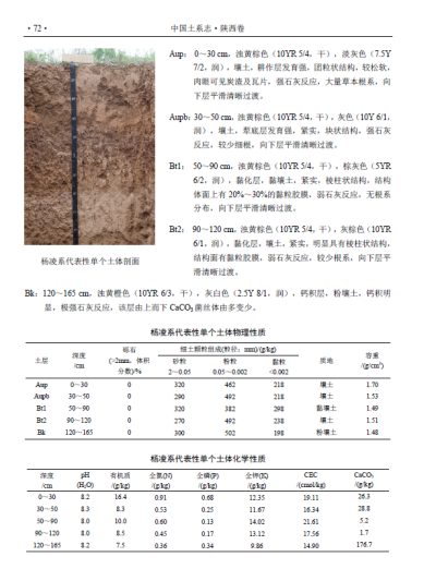 e98e0e23810444da9383cf5168741b1d.png 2.png