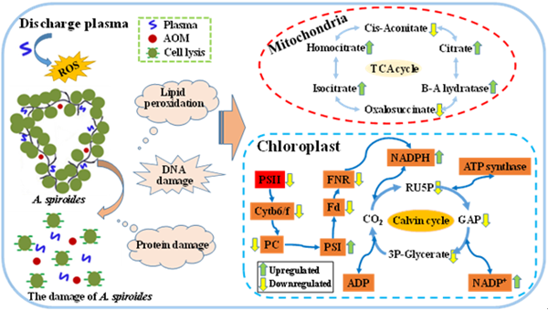 3cea4cdd143e40bc8863f9371810e8b4.png QQ截图20210426165228_副本.png