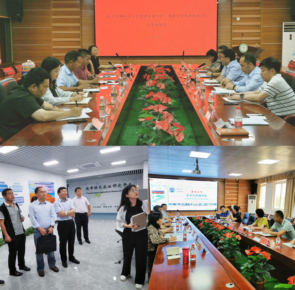 742432cf510b42adaaef24e000e142f5.png 742432cf510b42adaaef24e000e142f5.png