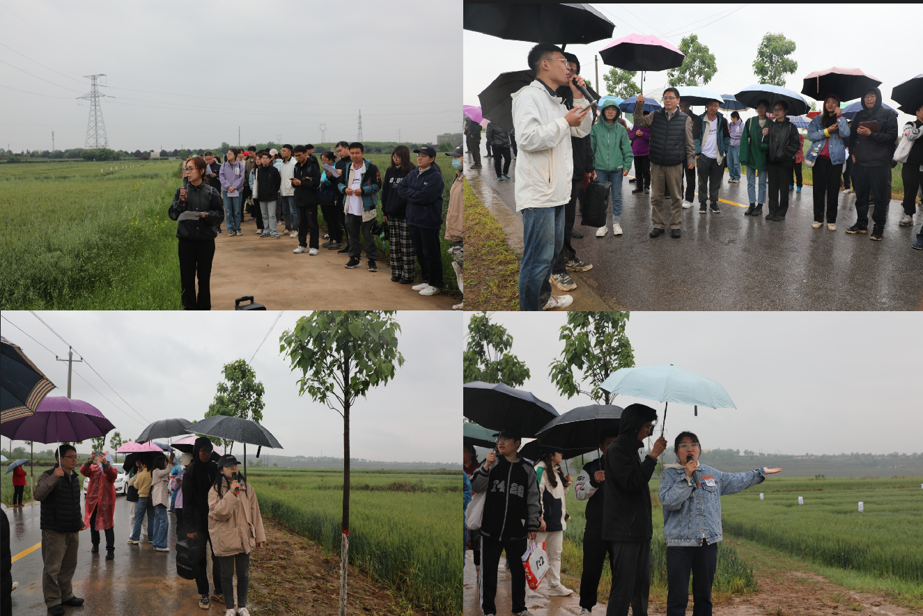 4791414ab01349879bda6efb4e799ff6.png 4791414ab01349879bda6efb4e799ff6.png