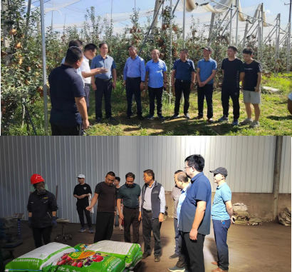 9dd4115910d4436db4397406361667ff.png image.png